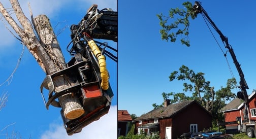 Bild som visar exempel på trädfällning med Borlänge Trädgårdsservices smidiga trädfällningsaggregat för säker och ekonomisk fällning av problemträd.